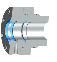 Ausführung Servoseal®  Rückhaltering aus Carbon